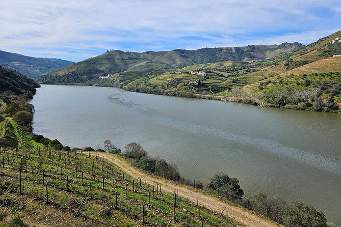 Transfer- Porto to Douro Wine Region (or reverse) - Pickup and drop-off: making meetings smooth in Porto (and the Douro)