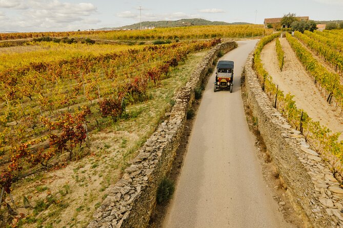 Two Day Tour of the Douro Valley - Key Things To Know Before You Go