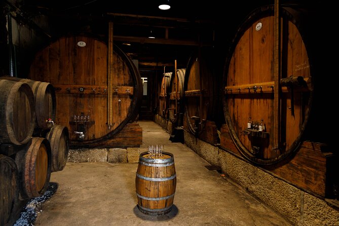 VALE DOURO, Premium Wine Tour, Wine Lunch, Private Boat - The second centenary winery and your Porto-focused tastings