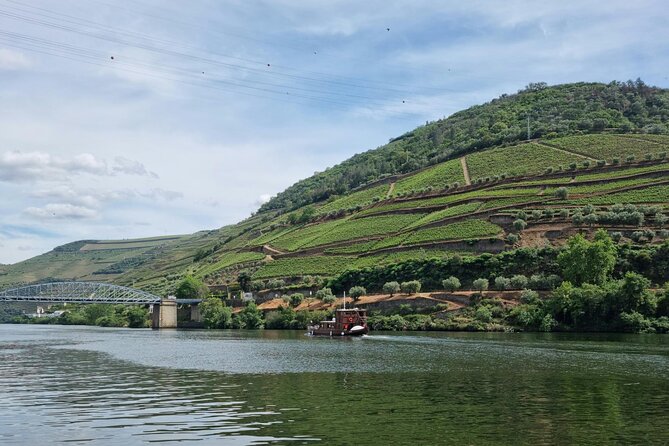 VALE DOURO, Premium Wine Tour, Wine Lunch, Private Boat - Price, group size, and why $163.33 can be good value here
