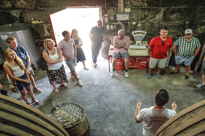 VALE DOURO, Premium Wine Tour, Wine Lunch, Private Boat - Who should book this tour, and who might not love it