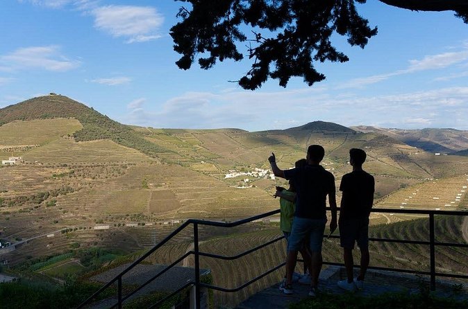Valley of the Douro and Amarante Wine Gastronomy and Boat Tour - Quinta de São Luís: port tasting with a real vineyard feel
