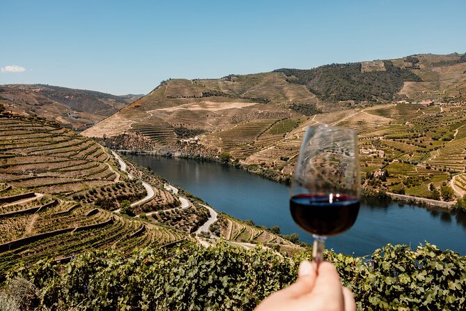 Valley of the Douro and Amarante Wine Gastronomy and Boat Tour - The one-hour Douro boat cruise that makes the day