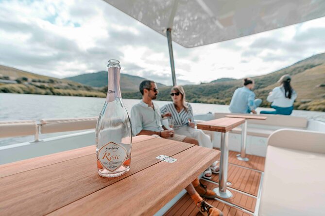 Valley of the Douro: Private Tour Electric Boat 1h With Wine Tasting - Who this private boat tour is best for