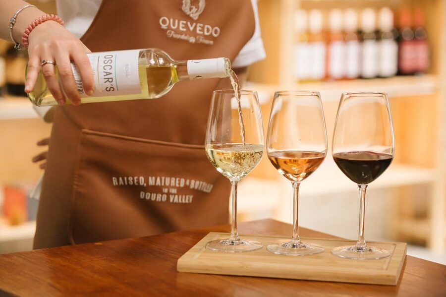Vila Nova de Gaia: Douro Discovery - Key things to know before you go