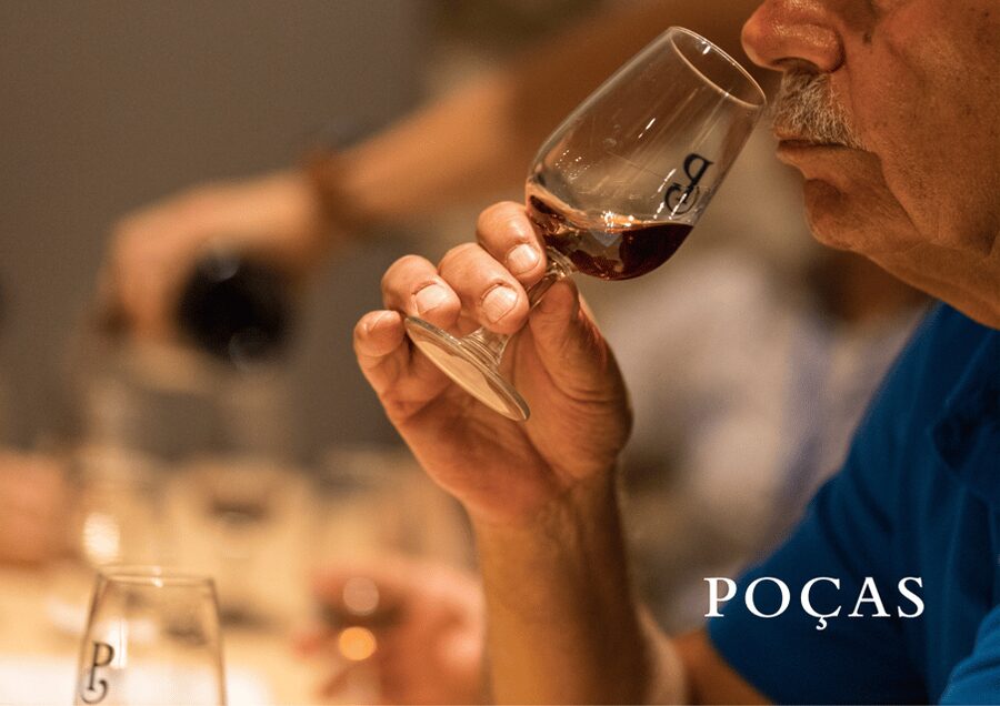Vila Nova de Gaia: Winery Tour with 2 DOC Douro & 1 Port - Key moments you’ll care about