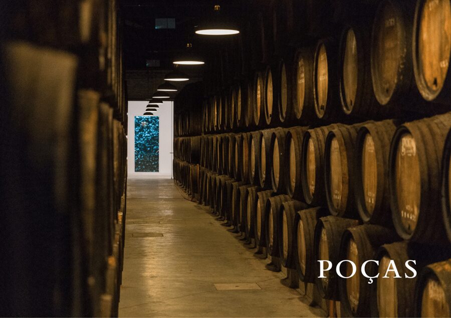 Vila Nova de Gaia: Winery Tour with 2 DOC Douro & 1 Port - DOC Douro wines in your glass: Trava Línguas white and Reserve Red