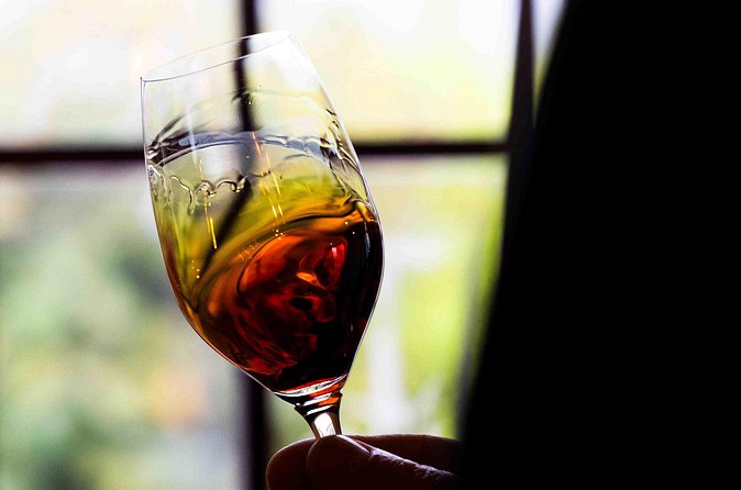Wine and Scenic Beauty in Douro Valley - Price and value: $562.63 per group up to 4