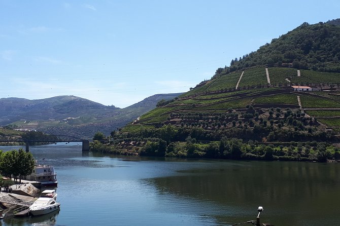 Wine experience with a sommelier - One hour on a Rabelo boat ride on the Douro River