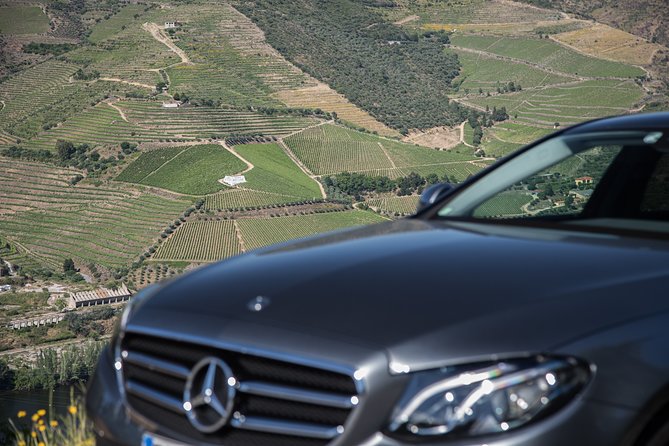 Wine experience with a sommelier - Premium tasting at a second Douro boutique farm, compare and sharpen your palate