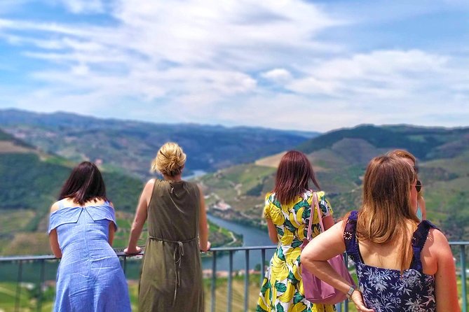 Wine Venture and Boat Trip in Douro Valley from Porto - Bagaúste boat ride: views by N222 and an easy, social pace