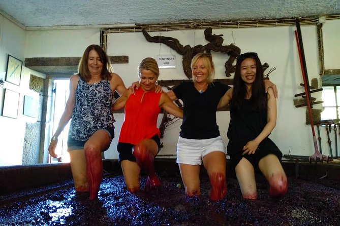 Wine Venture and Boat Trip in Douro Valley from Porto - What to expect during the day, step by step