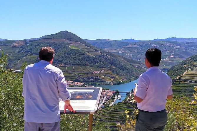 Wine Venture and Boat Trip in Douro Valley from Porto - Who this tour fits best, and who should think twice