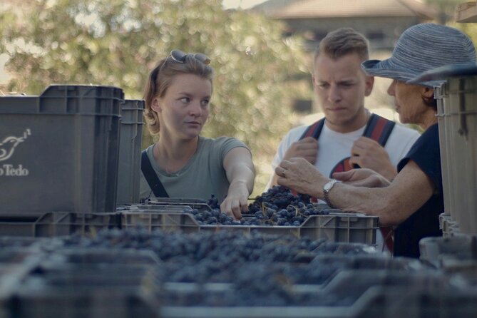Winery Tour and Tasting in Douro Valley - The Estate Tour Stops That Make the Tasting Make Sense