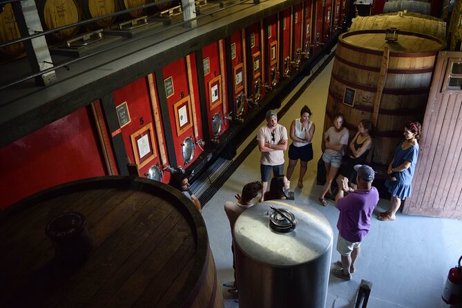 Winery Tour and Tasting in Douro Valley - The Renovated Tasting Room and That Douro View