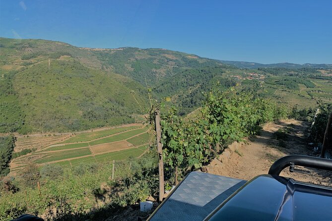 Winery Tour and Wine Tasting Quinta da Portela de Baixo in Lamego - Your 90-minute game plan: winery, cellar museum, and tasting