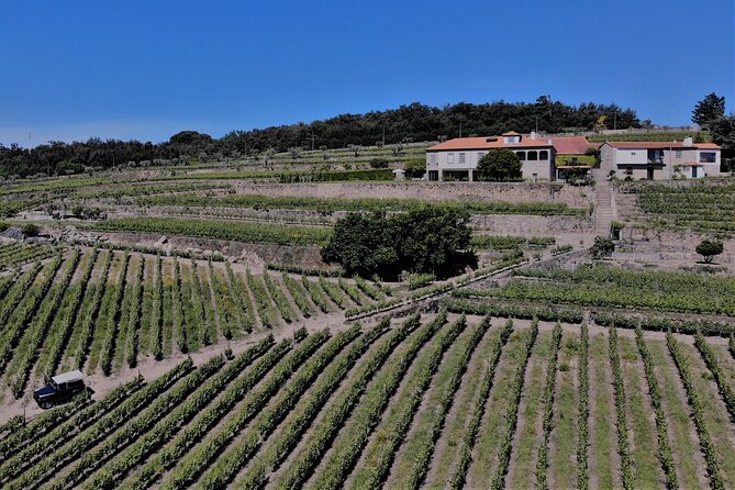 Winery Tour and Wine Tasting Quinta da Portela de Baixo in Lamego - Hosts and pace: where the experience becomes memorable