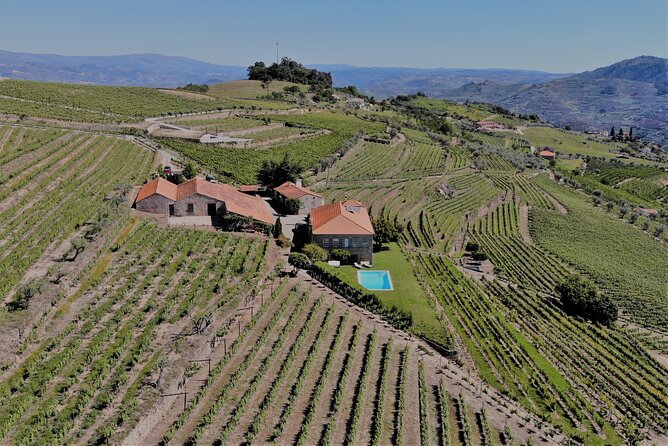 Winery Tour and Wine Tasting Quinta da Portela de Baixo in Lamego - Price and value: is $36.20 a good deal?